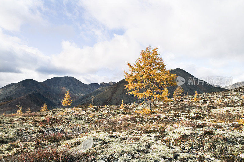 秋天的风景