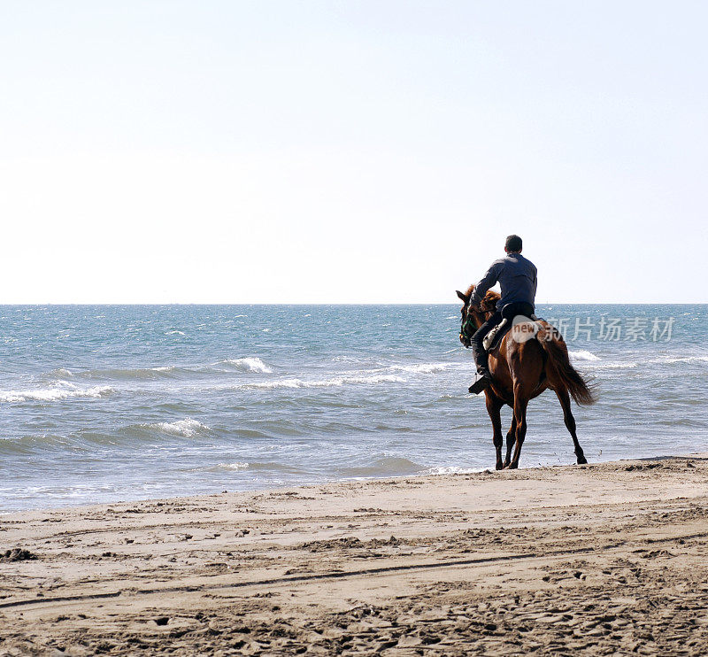 在海滩骑马