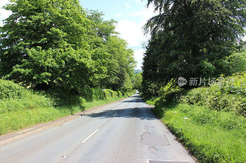 有灌木篱墙，树木和草的英国乡村道路的边缘