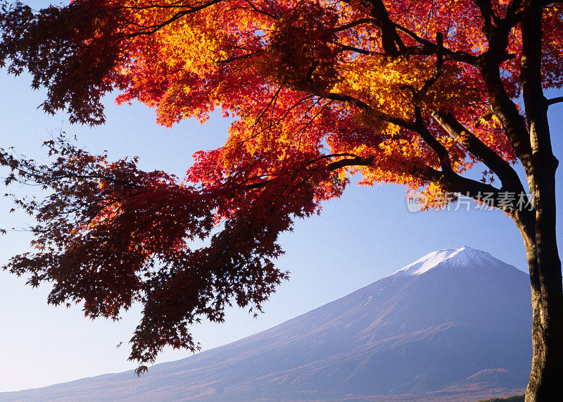 秋天的富士山