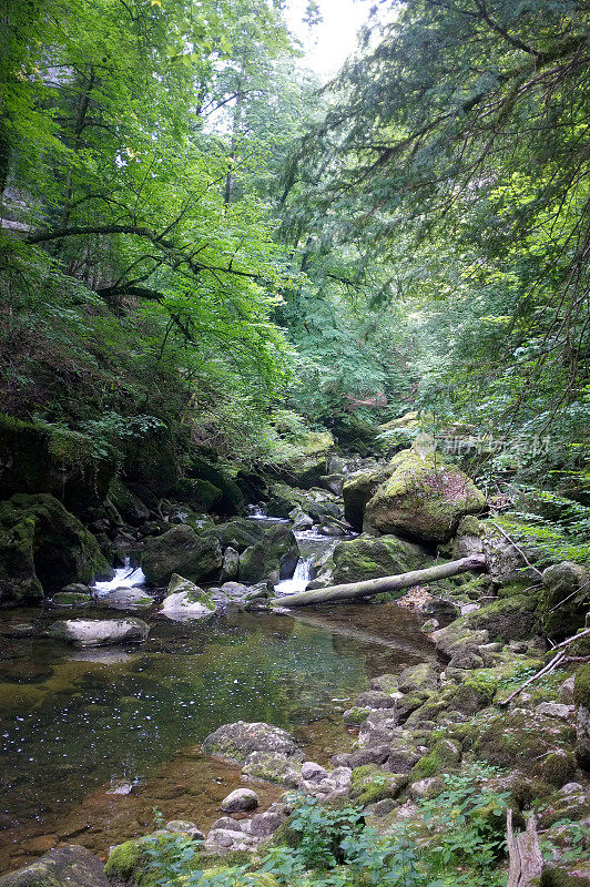 阿雷泽峡谷和瑞士汝拉河