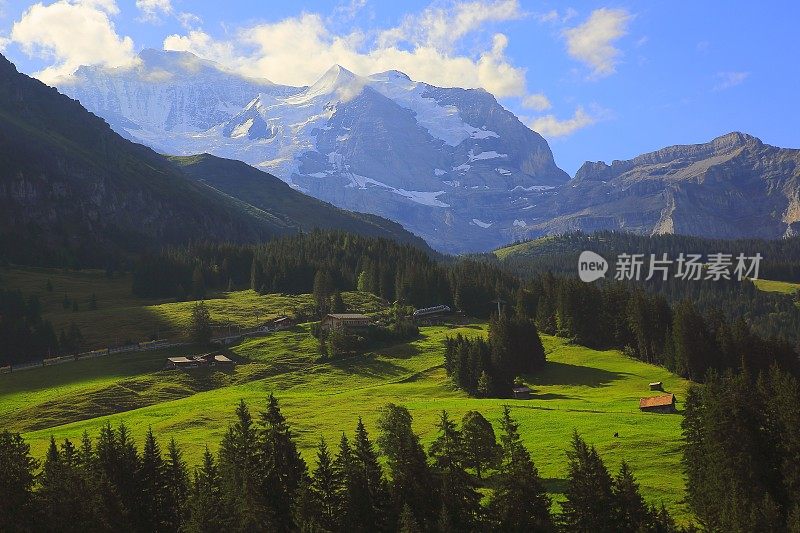 少女，高山景观:林地和草地，Lauterbrunnen，瑞士阿尔卑斯山