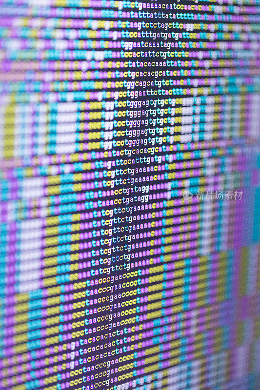屏幕上的DNA密码