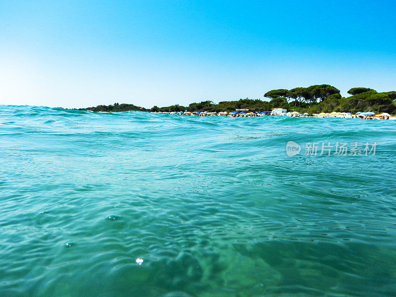 夏天的海浪