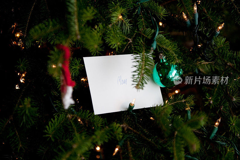 圣诞树上的信