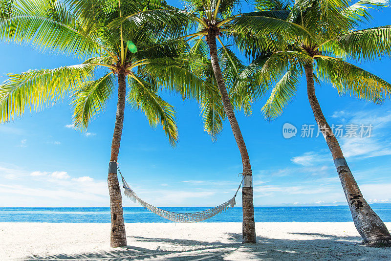 热带海滩吊床在夏季放松
