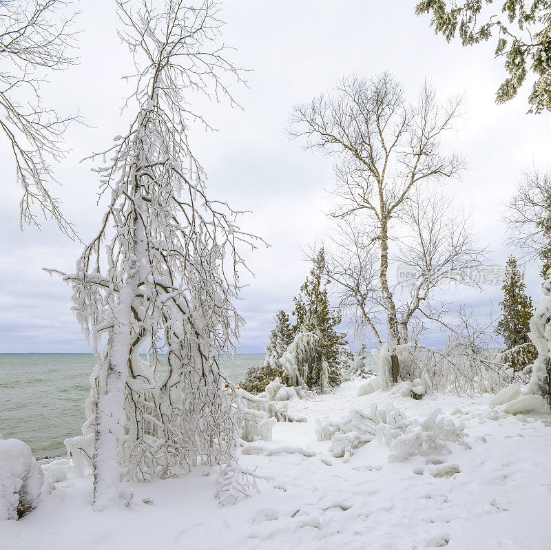 暴风雪过后，湖面上的风景、树木和树枝都被冰雪覆盖。