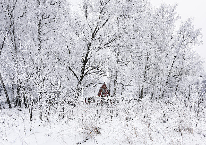 冬天森林白霜老房子
