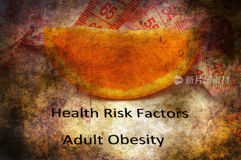 健康风险-肥胖垃圾概念