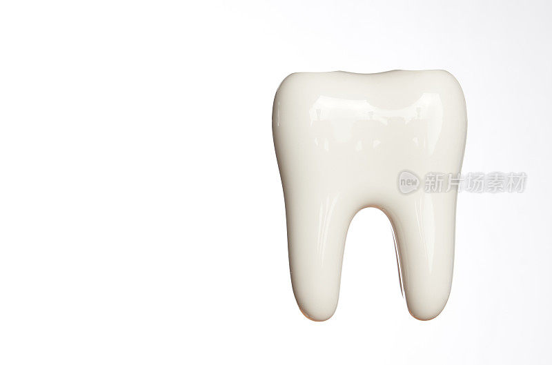 白色牙釉质牙模型孤立在白色上