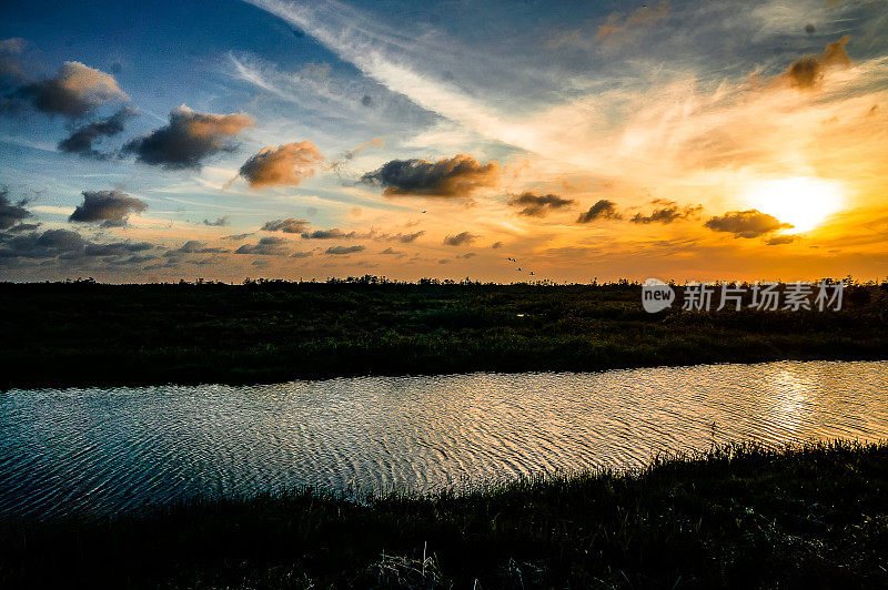 夕阳的剪影在柏树沼泽