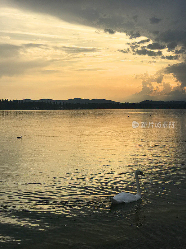 瓦雷泽湖