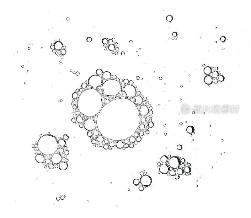 一组泡沫泡沫从肥皂或洗发水清洗孤立在白色背景上俯视图照片对象设计