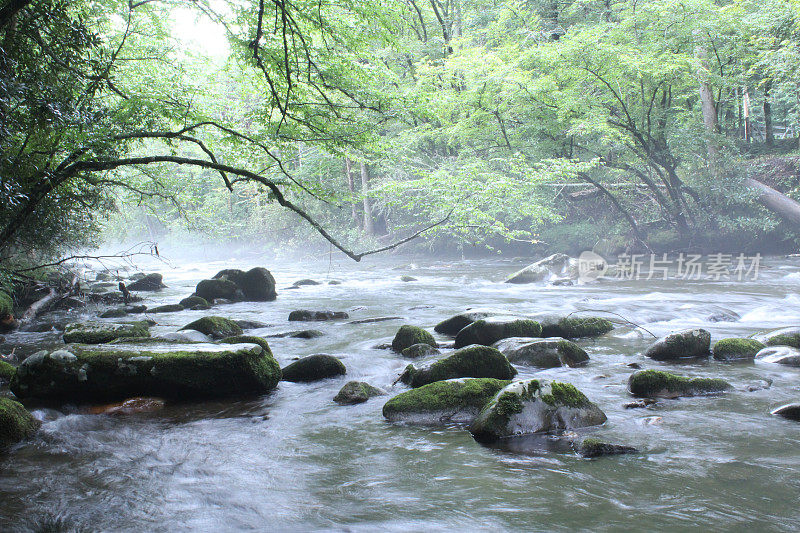 自然河在早晨与蒸汽和薄雾
