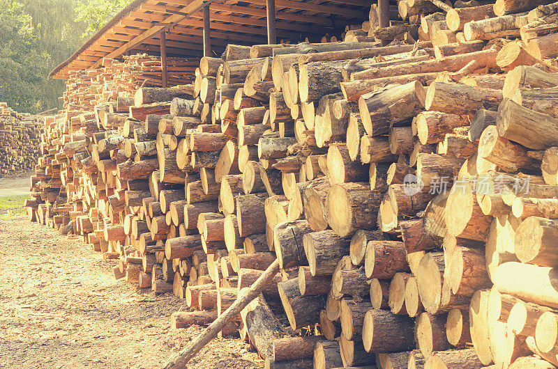 锯木厂里砍下来的原木堆在一起。