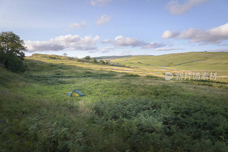 在绿色的景观中搭起的帐篷，阳光照亮了英格兰的乡村
