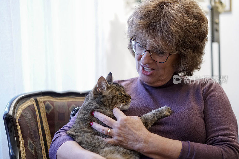 家里有猫的年长妇女