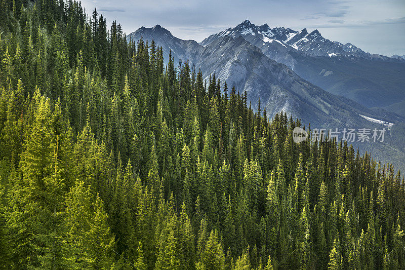 加拿大阿尔伯塔省班夫硫磺山的山景