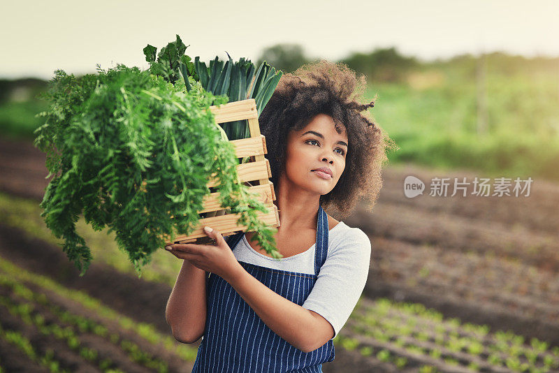 想想我要养活的那些饥民