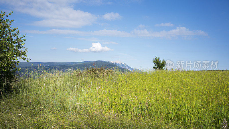 Provençal风景，法国南部