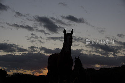 月亮与马