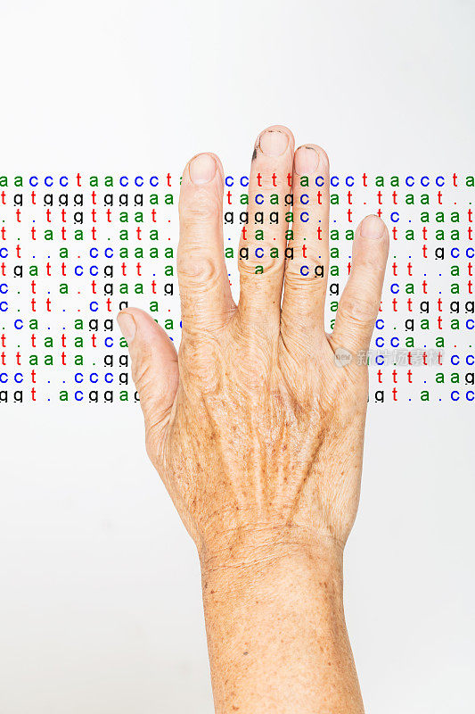 DNA编码与老人的手老化的概念