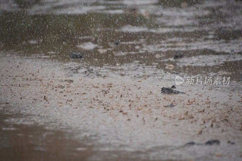 雨和泥