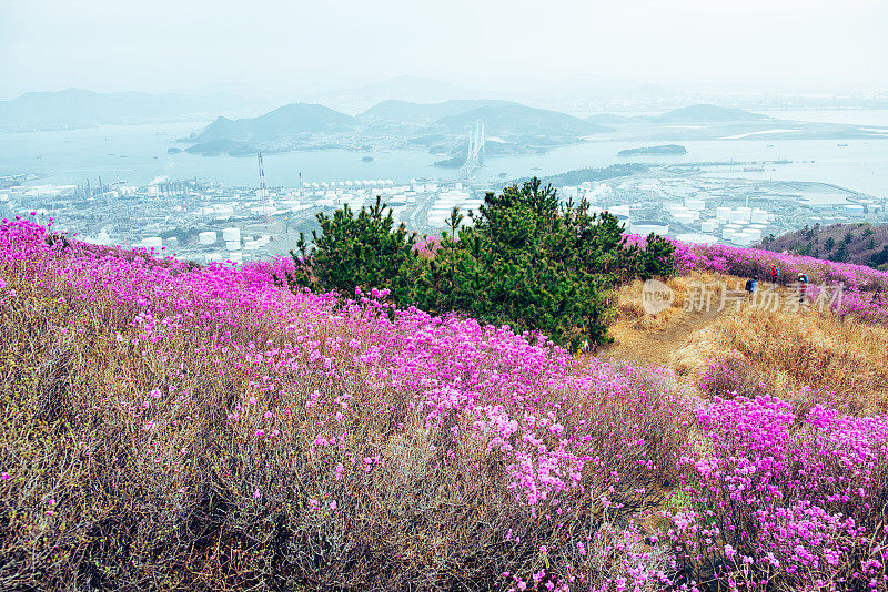 杜鹃山徒步旅行