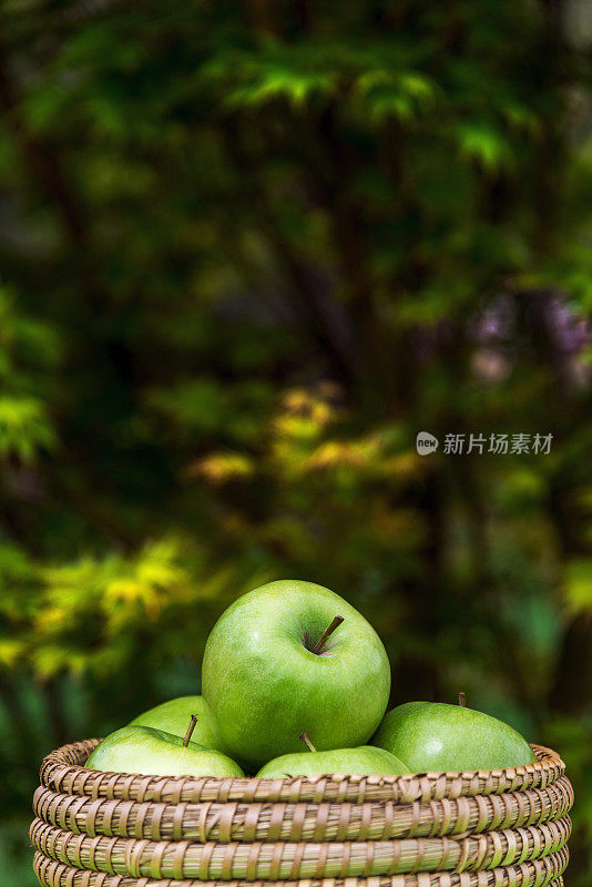 柳条篮子里的新鲜绿苹果