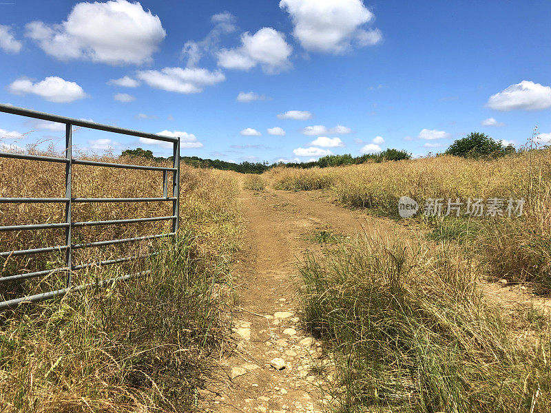 画面中，拖拉机轮胎穿过金属农场大门，进入一片成熟的油菜籽准备收获的田地