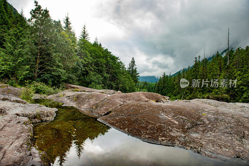 风景温哥华岛加拿大景观在阴天夏天