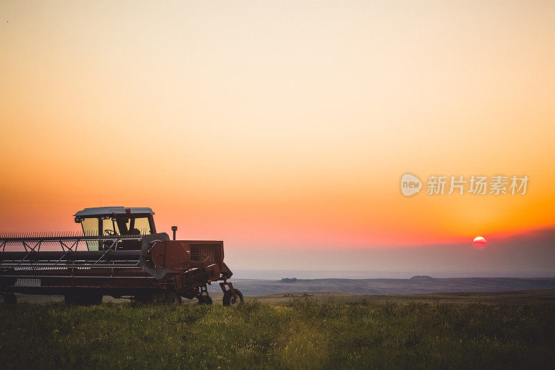 夕阳西下时，我们在干草地里嬉戏。