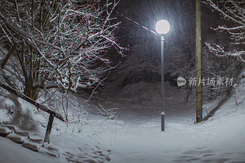 晚上冬天森林。树枝上的雪。自然背景。Copyspace。寒冷的天气。气候。霜