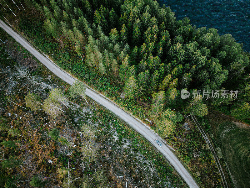 在乡村驾驶汽车