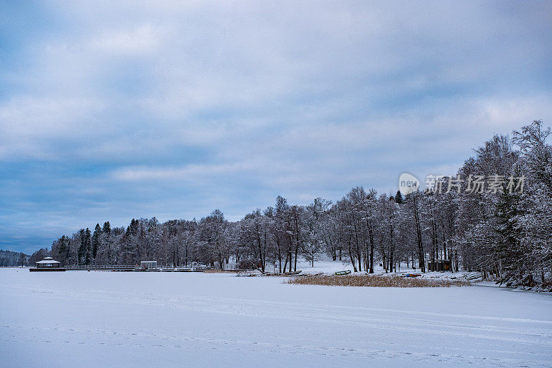 冬季景观，湖泊和湖上的冰。湖上公园里白雪覆盖的树木。