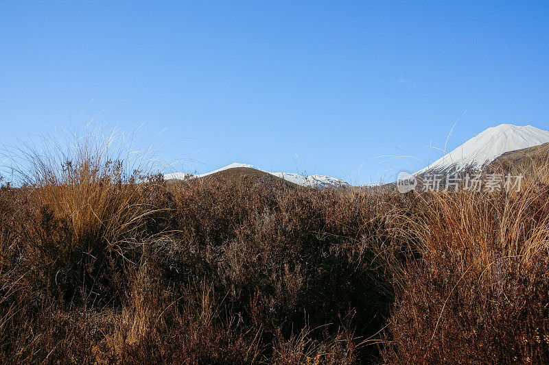 连绵起伏的高山植被景观通向Ngauruhoe山的锥形火山锥