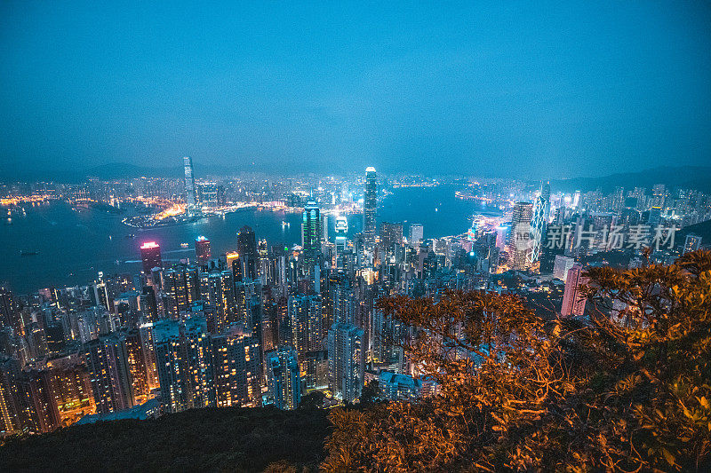 香港城市夜景鸟瞰图