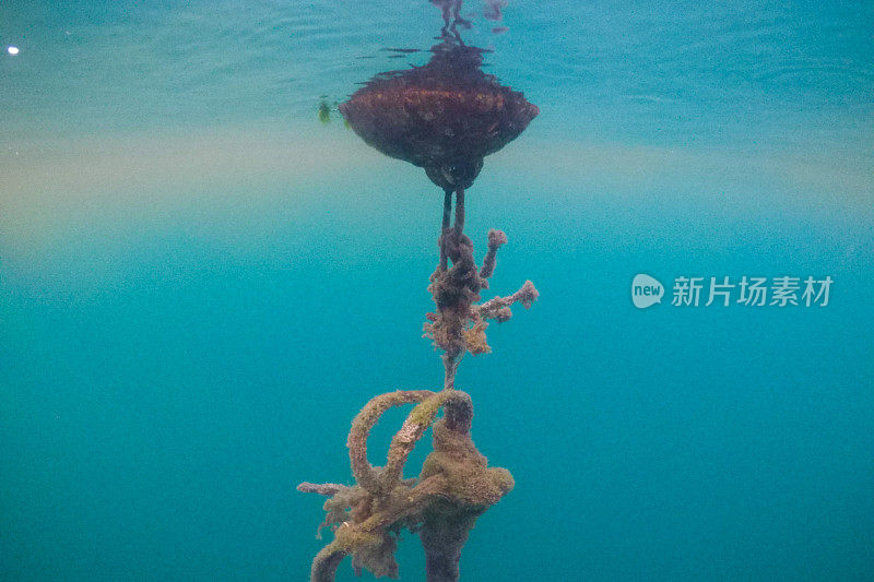 水下旧绳子的特写-库存照片