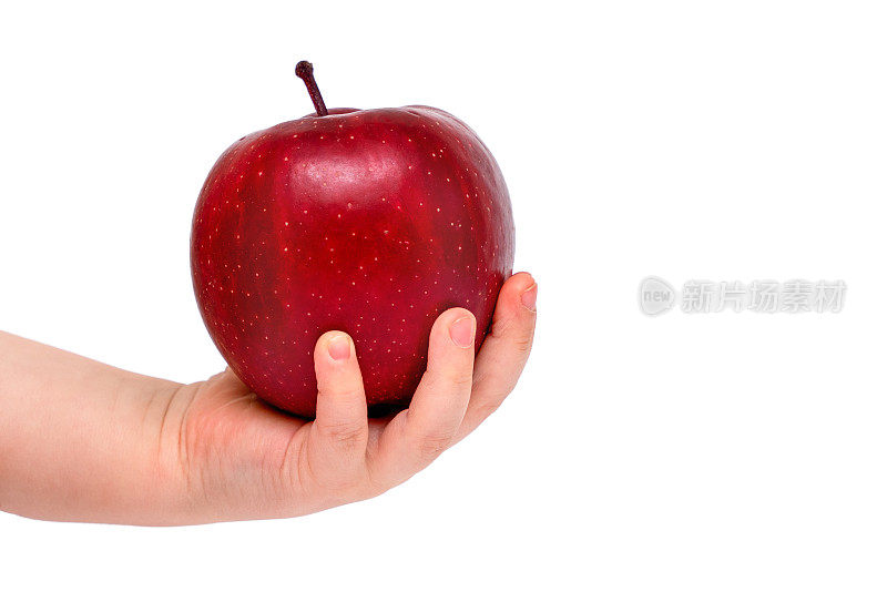 白色背景下，婴儿手里拿着多汁的红苹果