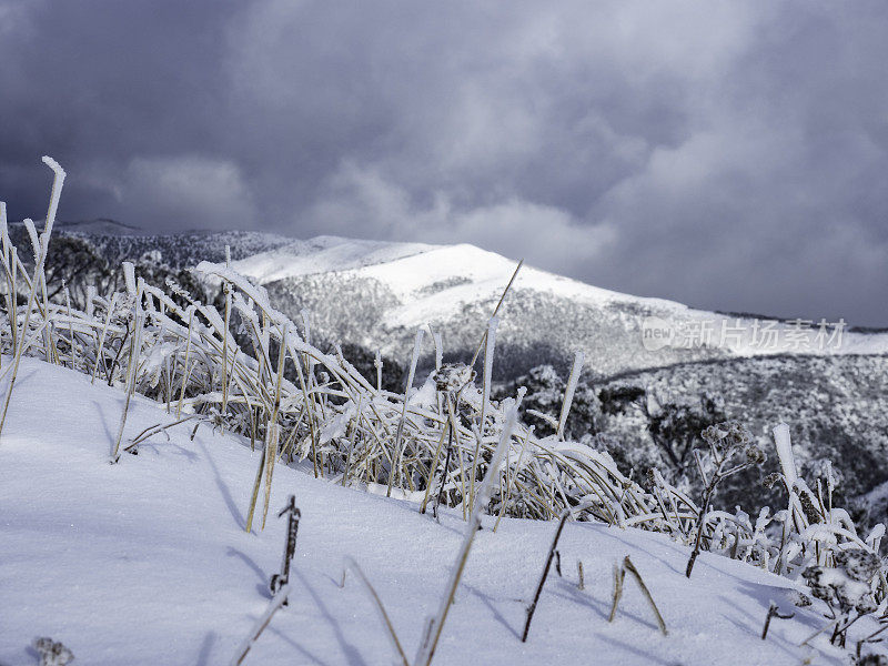 雪山