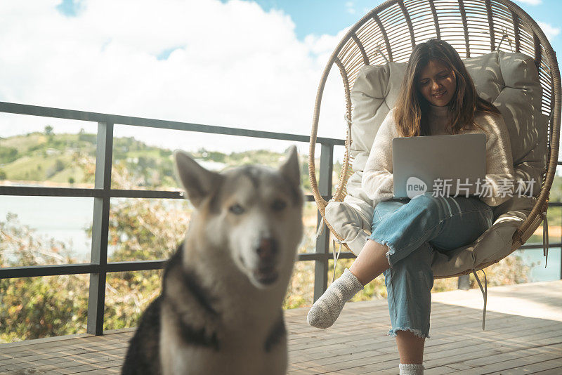 年轻女子在阳台上用电脑工作，视野很好，带着宠物旅行，过着游牧的生活方式