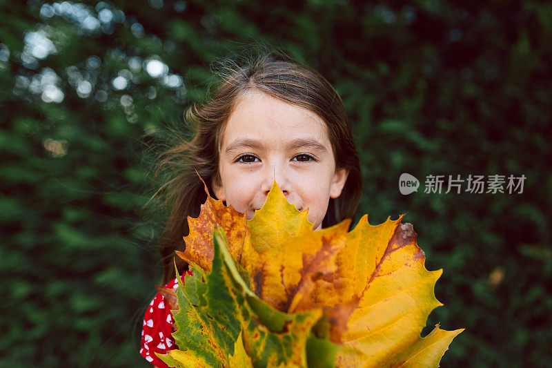 欢快的女孩拿着一束干枫叶在公园里玩耍