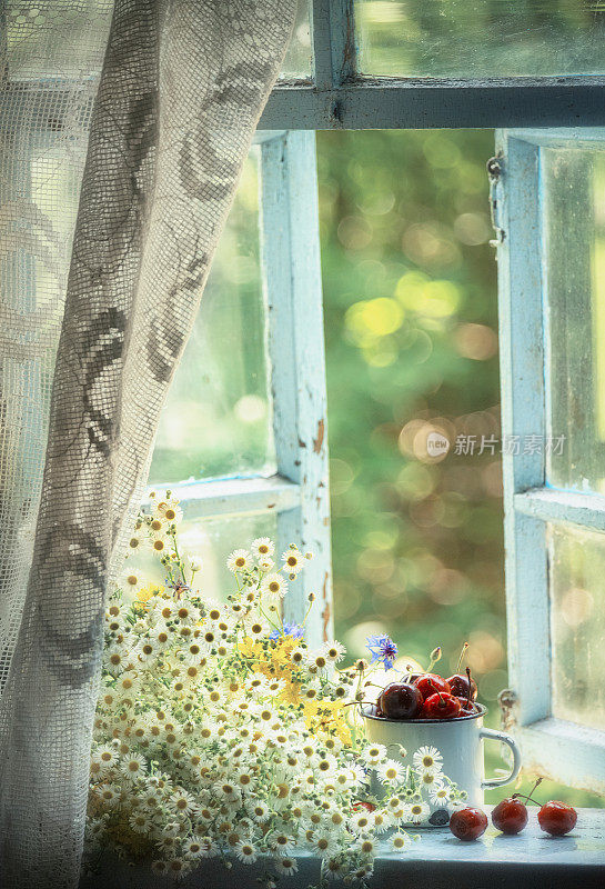 乡村质朴的静物。一束可爱的野花和樱桃装在一个铁杯子里，挂在一扇开着的通往花园的旧窗户上。