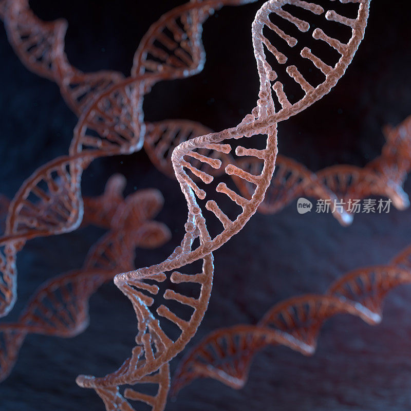 螺旋状DNA链