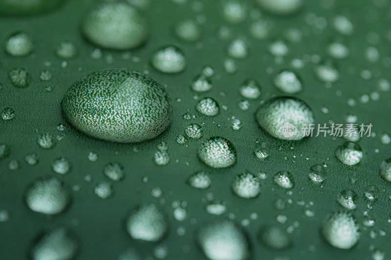 美丽的水滴雨后绿叶宏观