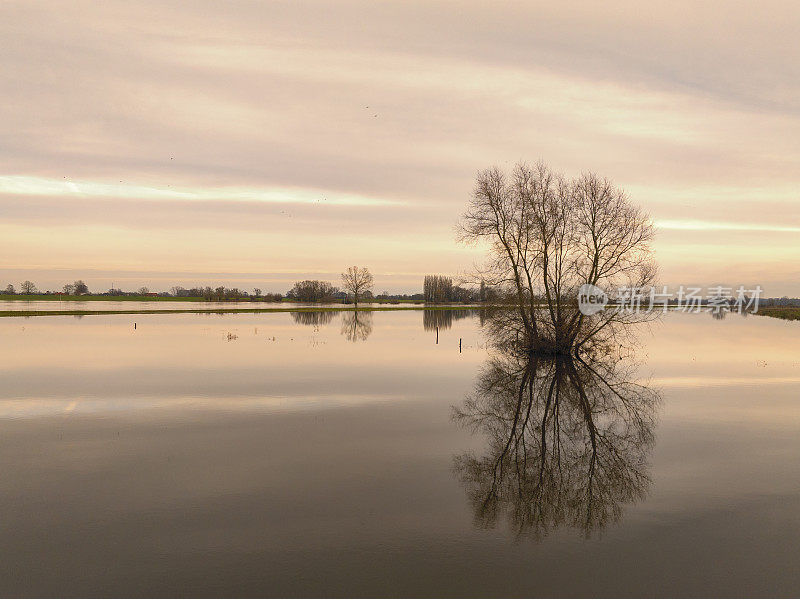 在兹沃勒附近的洪泛区，艾塞尔河洪水泛滥，水位很高