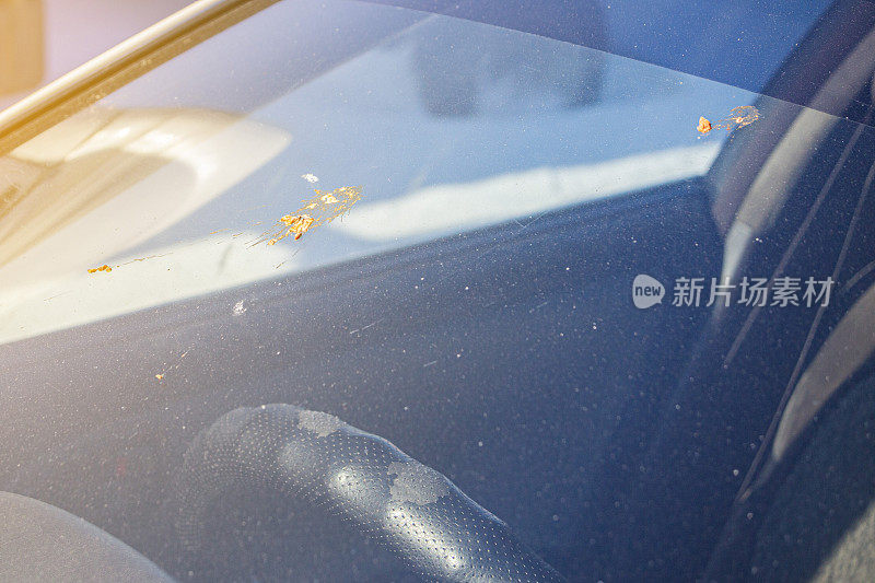 汽车挡风玻璃上的鸟粪。汽车的挡风玻璃被鸟屎弄脏了。这是一种不愉快的情况。有选择性的重点