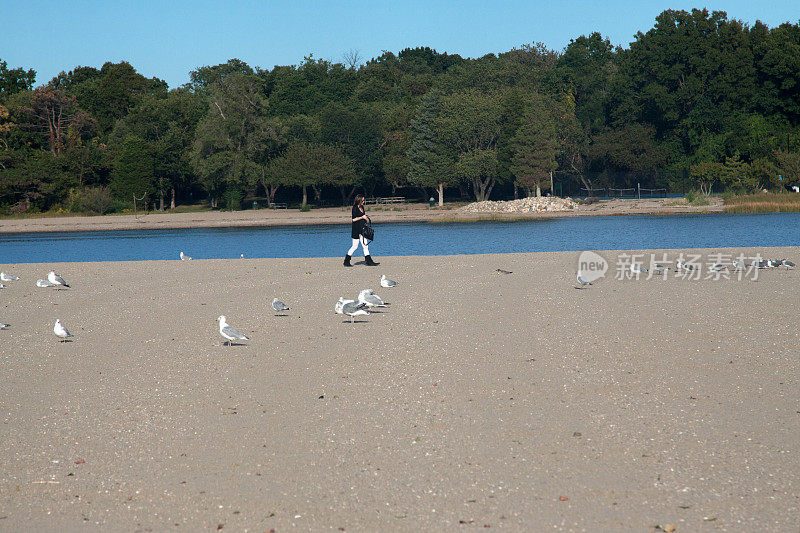 海滩沃克