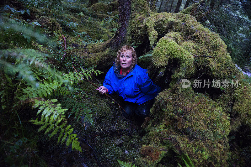 受惊的女人躲在树根下