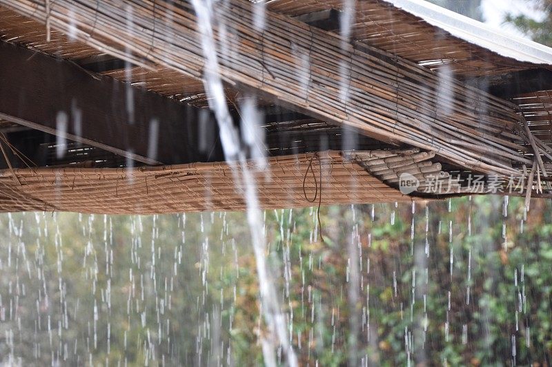 雨